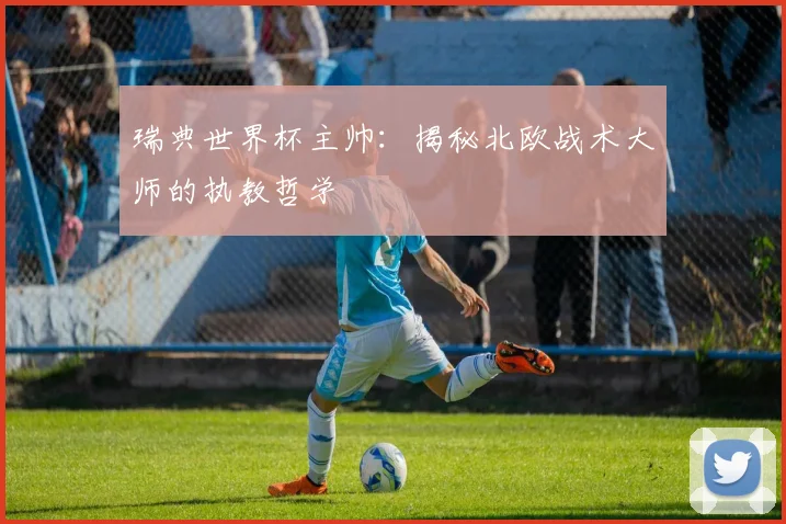 瑞典世界杯主帅：揭秘北欧战术大师的执教哲学